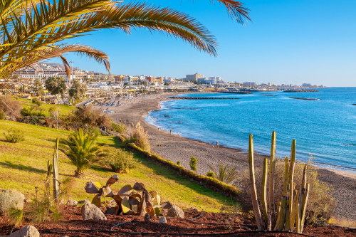 Tenerifė, „Regency Torviscas Apartments and Suites“ 3* 