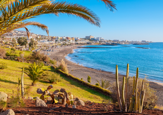 Tenerifė, „Regency Torviscas Apartments and Suites“ 3*