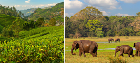 Šri Lanka ir Maldyvai