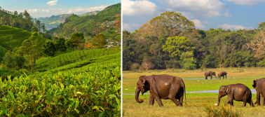 Šri Lanka ir Maldyvai