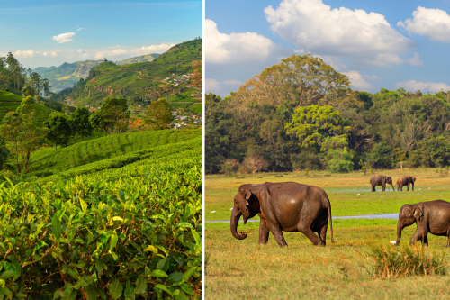 Šri Lanka ir Maldyvai
