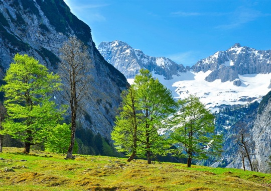 Kalnų žygis. Austrija